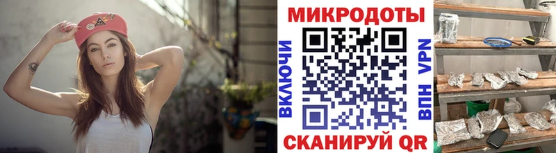 цены   Волжск  Галлюциногенные грибы Cubensis 